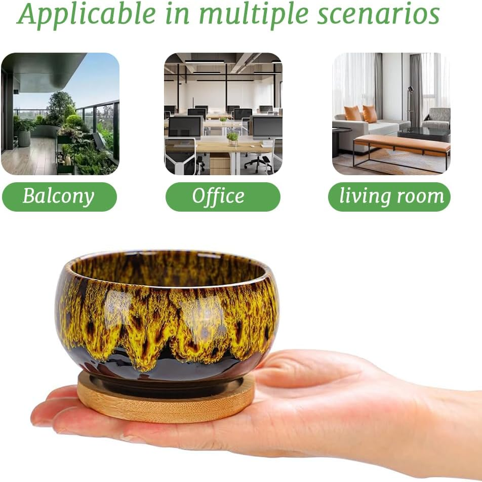 5-Piece Ceramic Indoor Succulent Plant Pots with Drain and Tray, Succulent Plant Pots, round Table Decorative Flower Pots, Ceramic Flower Pot Set, Plants Not Included image number 3