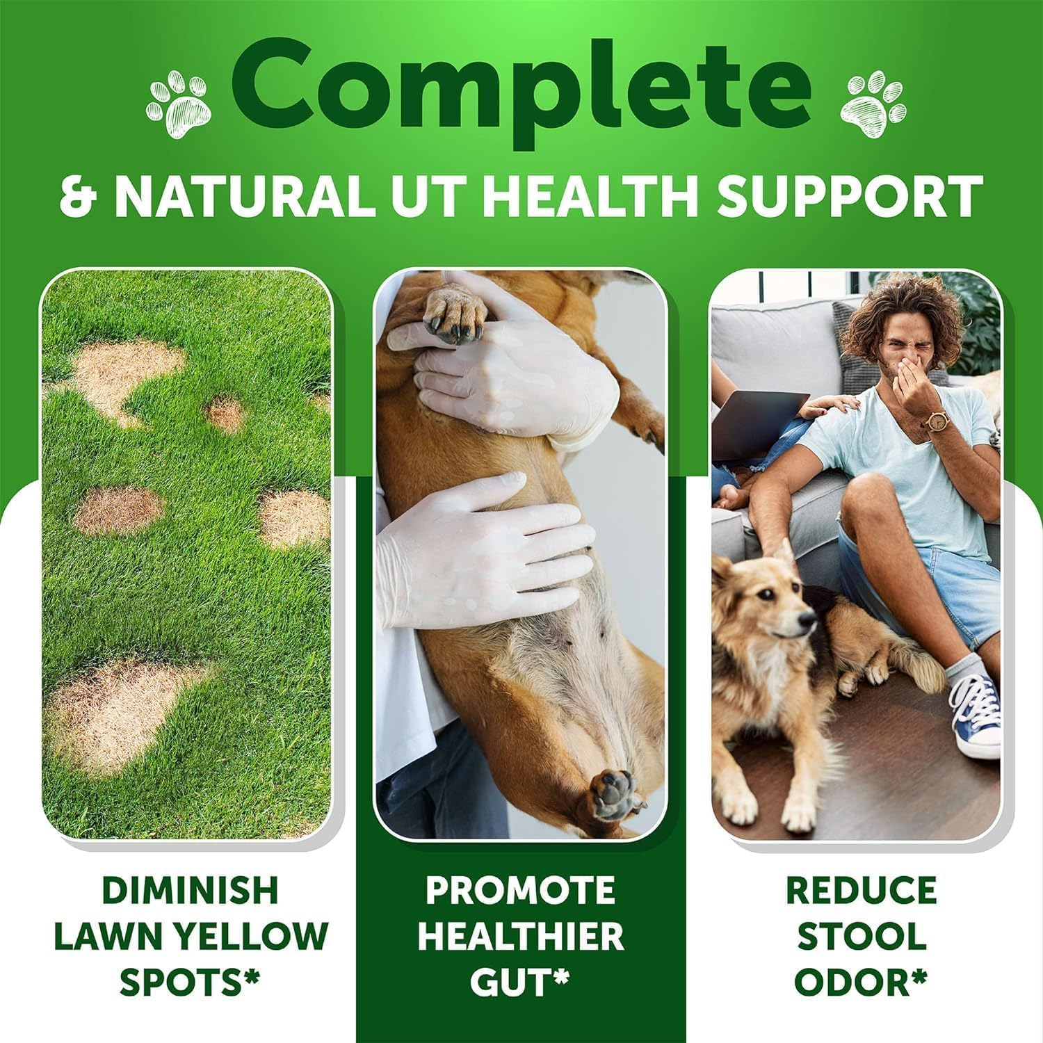 Grass Burn Spot Chews for Dogs - Pee Lawn Spot Saver Caused by Dog Urine - Grass Treatment Rocks - Urine Neutralizer for Green Lawn - Chewable Probiotics, Digestive Enzymes, Dl-Methionine - 120 Treats image number 4