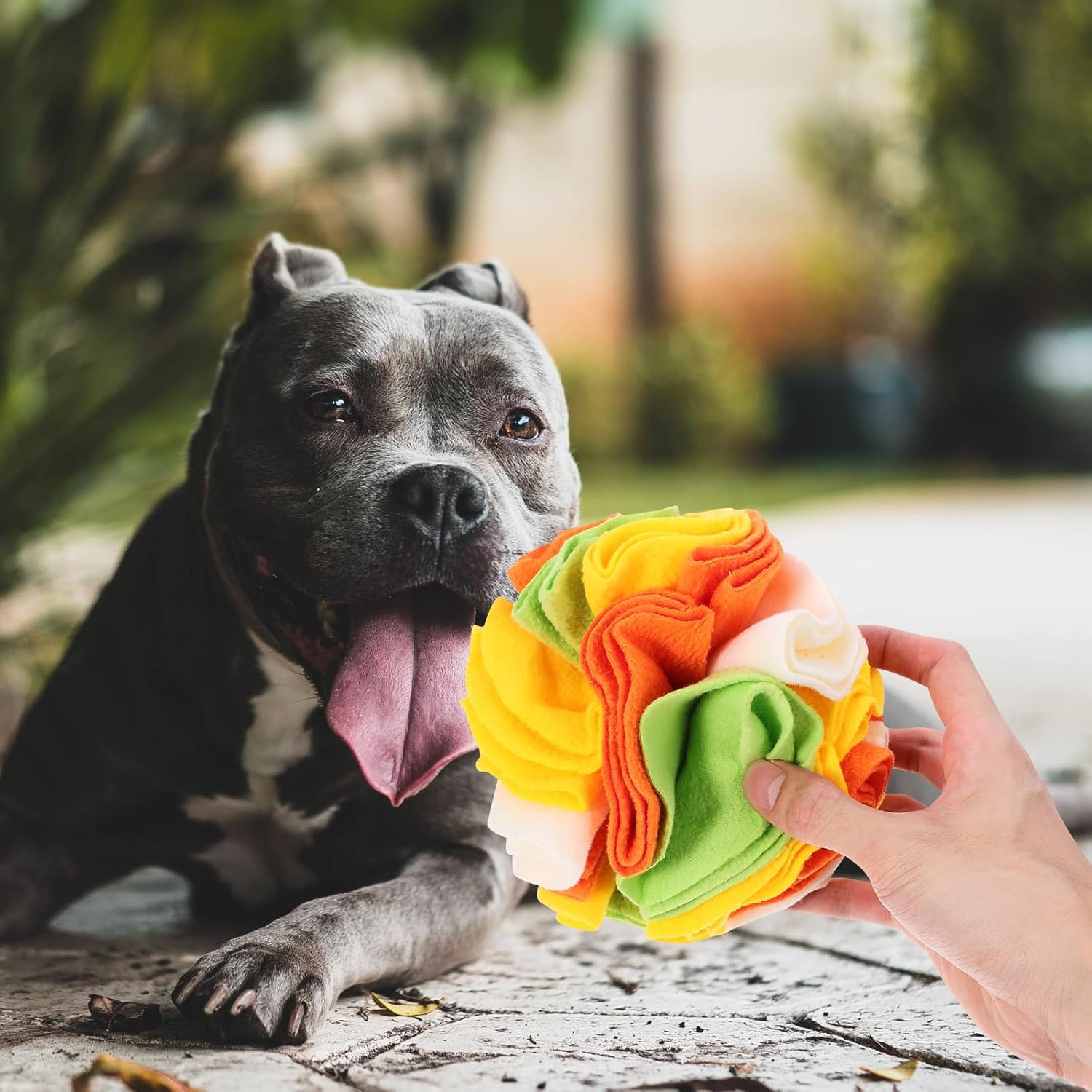POPETPOP Interactive Dog Toys Snuffle Ball: Pet Snuffle Ball Colorful Puppy Interactive Sniffle Toy - Dog Puzzle Toys Treat Ball for Small Medium Dog Puppy Encourages Foraging Skills image number 2