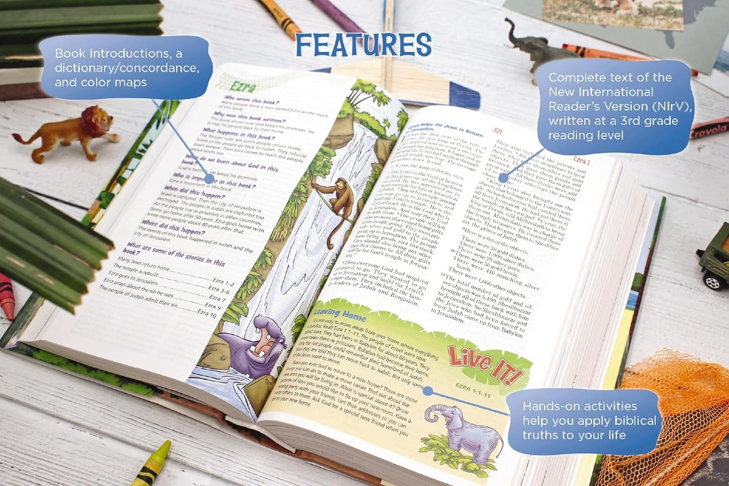 NIRV Adventure Bible for Early Readers image number 2