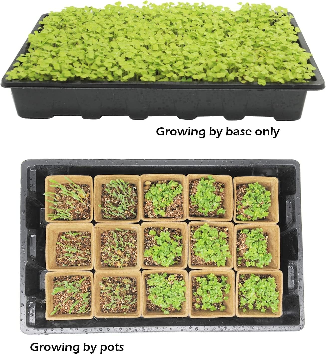 Seed Starter Kit with 90 Peat Pots for Seedlings Seed Starter Trays, 5 Plastic Growing Trays 20 Plant Labels & 3 Garden Tools, Outdoor or Indoor Herb Garden Nursery image number 3