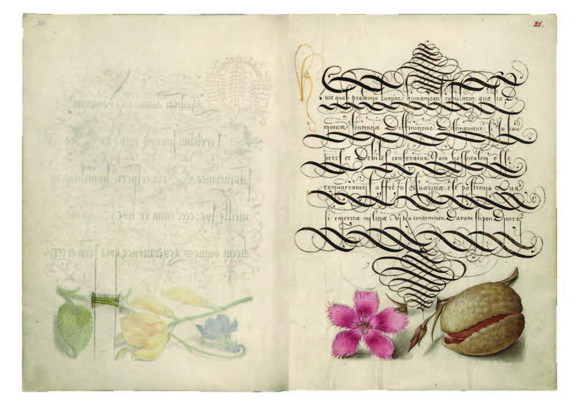 Mira Calligraphiae Monumenta: a Sixteenth-Century Calligraphic Manuscript Inscribed by Georg Bocskay and Illuminated by Joris Hoefnagel image number 3