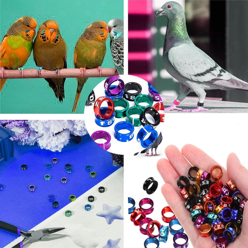 Naisfei Pack of 20 Bird Foot Rings, Inner Diameter Approx. 6 Mm, Open Bird Ring, for Birds, Parrots, Pigeons, Chicks (Mixed Colours) image number 3