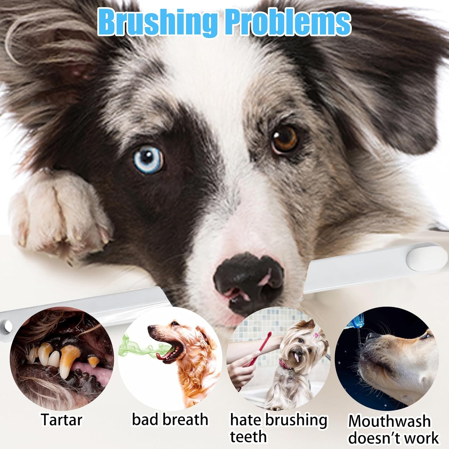 Dog Toothbrush, Dog Toothbrush for Small Dogs, Cats Dental Care for Dogs, Oral Hygiene, Deep Clean for Pets Cleaning (Pack of 3) image number 6