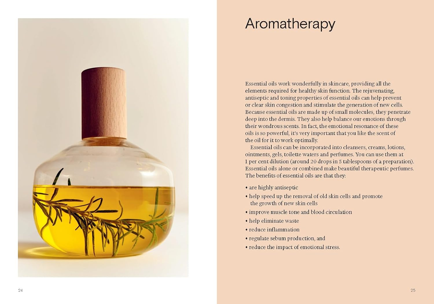 Feeding Your Skin: Totally Natural, Chemical-Free Beauty for Healthy, Vital Skin image number 1