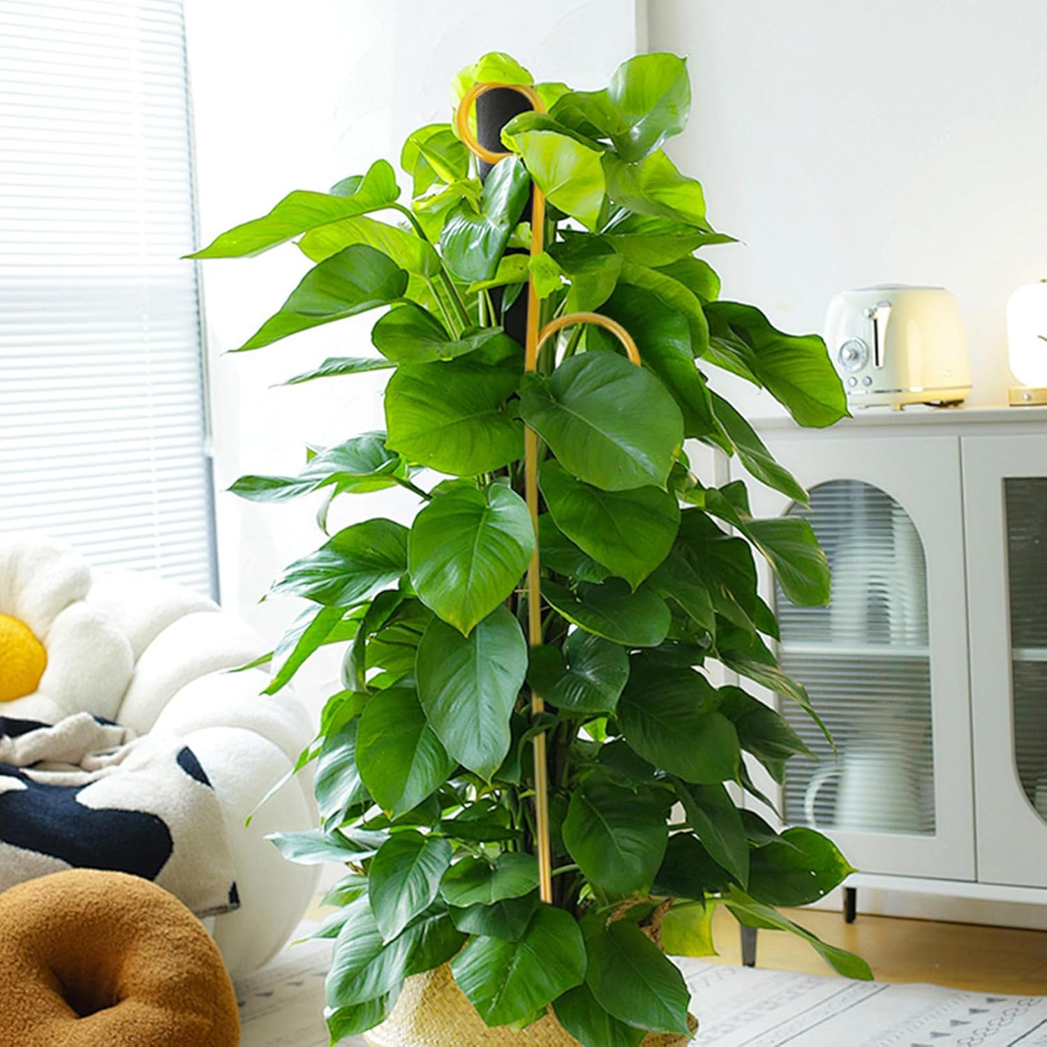 BCOATH 4Pcs Garden Trellis for Climbing Plants Support Stand for Potted Vines and Indoor Gardening for Pothos Monstera and Peppers Elegant Design image number 1