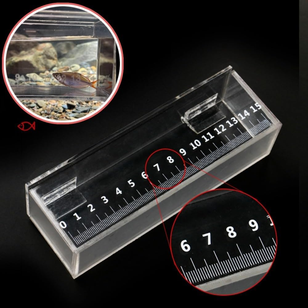 Fish Viewing Box, Acrylic Holder, Transparent Outdoor Indoor Micro Landscape Fish, Generic Fish Breeding Box image number 4