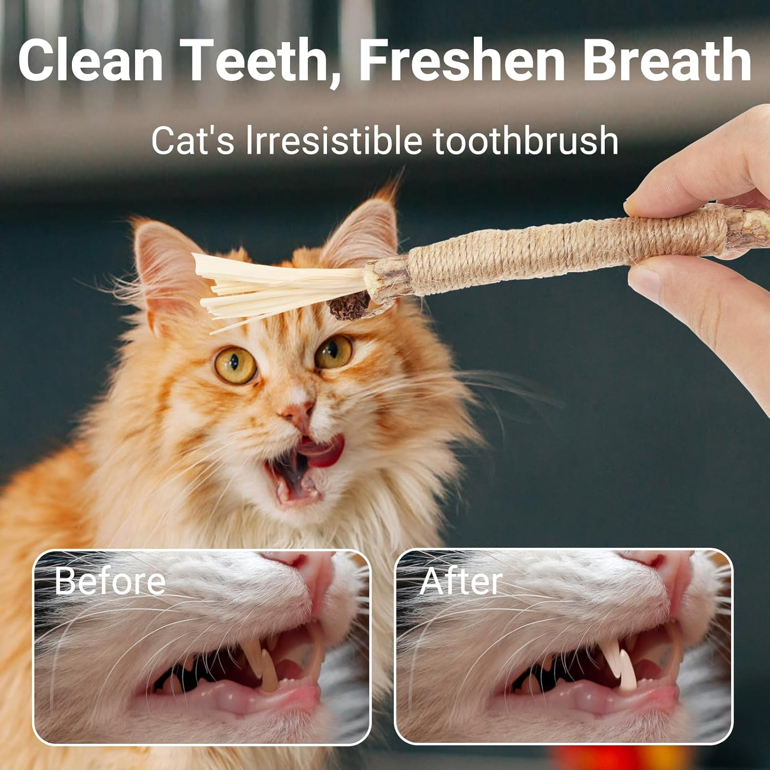 6 Pack Natural Silvervine Chew Sticks for Cats, Catnip Toys for Indoor Cats, Kitten Teeth Cleaning image number 3