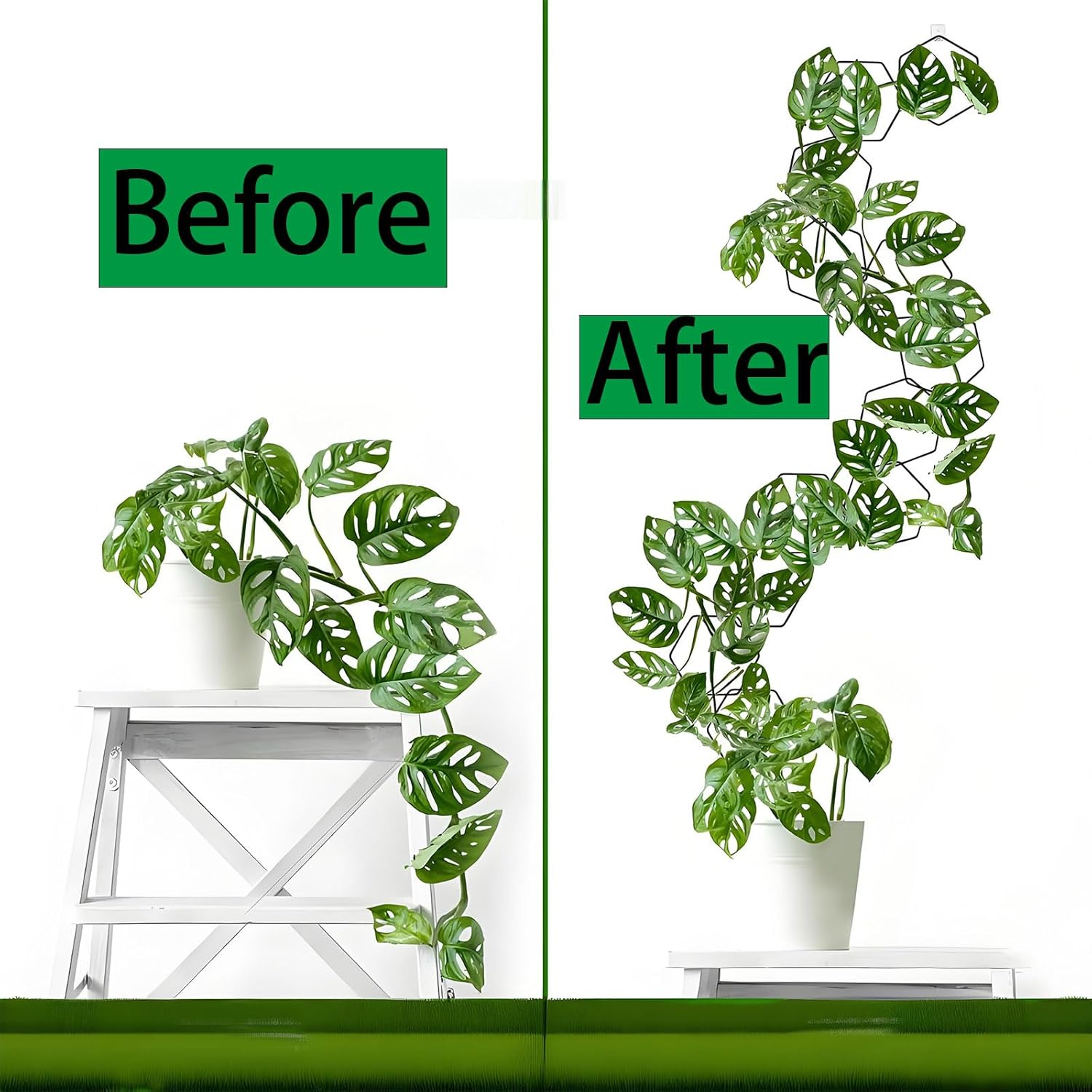 RUIFEN 18 PCS Garden Chain Trellis for Climbing Plants, Small Trellis for Wall Hanging Potted Plants Indoor & Outdoor with Different DIY Patterns (Black, Hexagon) image number 6