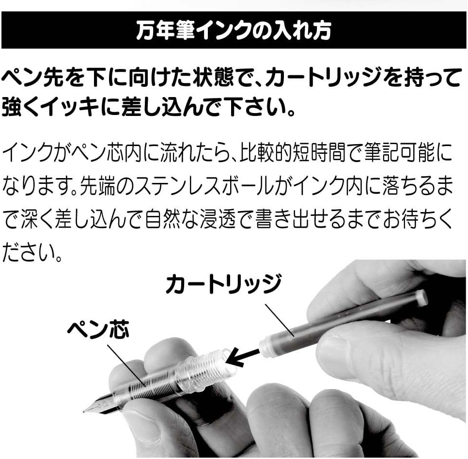 Platinum Fountain Pen, Plaisir Fine Nib, Black (PGB-1000-#1-F) image number 6