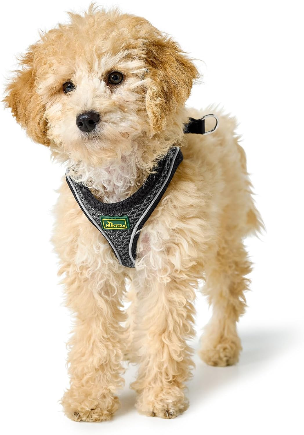 HUNTER HILO COMFORT Harness for Small Dogs, with Mesh Material and Reflective Elements,Anthracite,Xs-S
