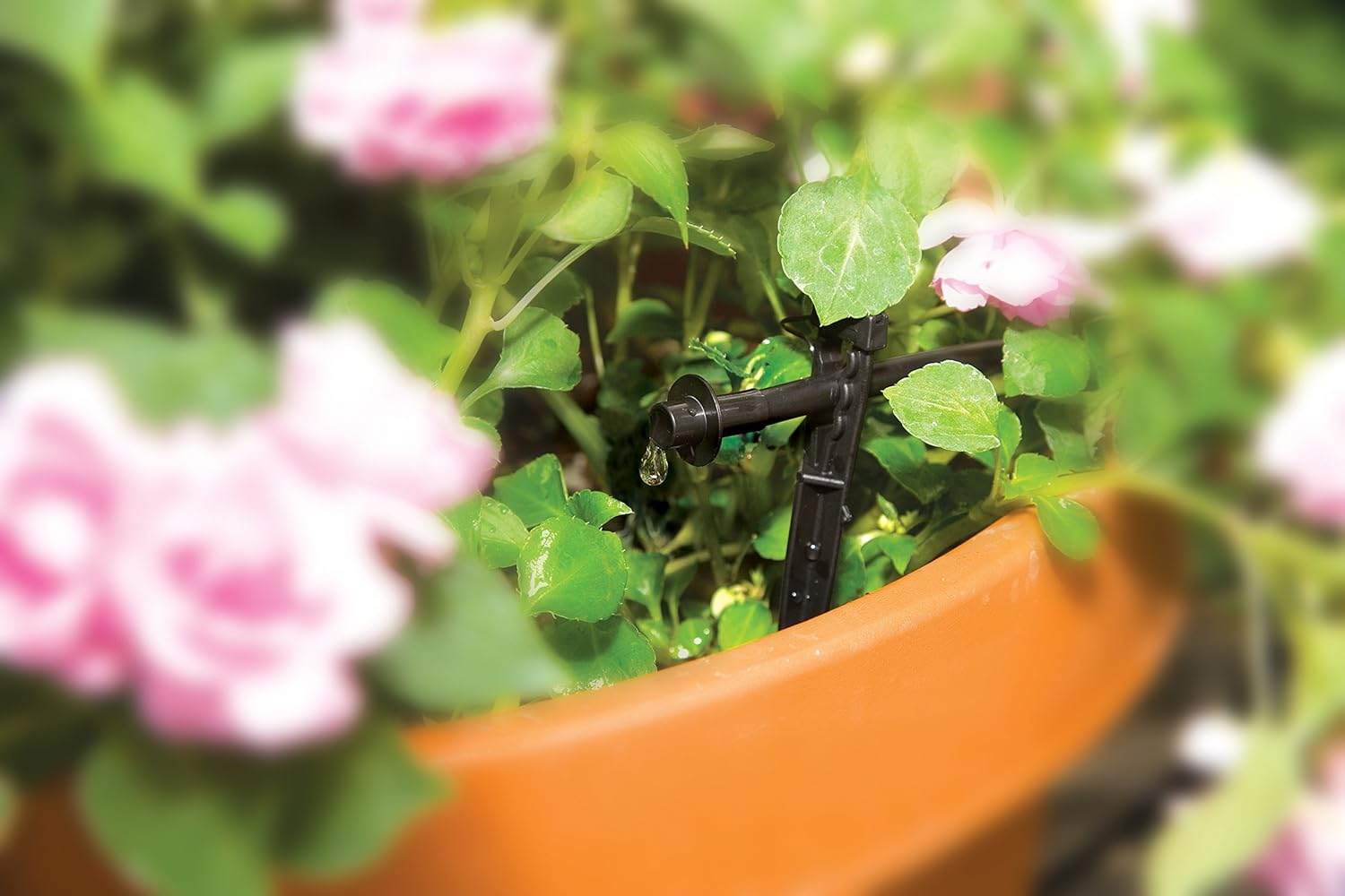 Rain Bird PATIOKIT Drip Irrigation Patio Watering Kit, Connects to Fau, 42-Piece, Multicolor image number 3