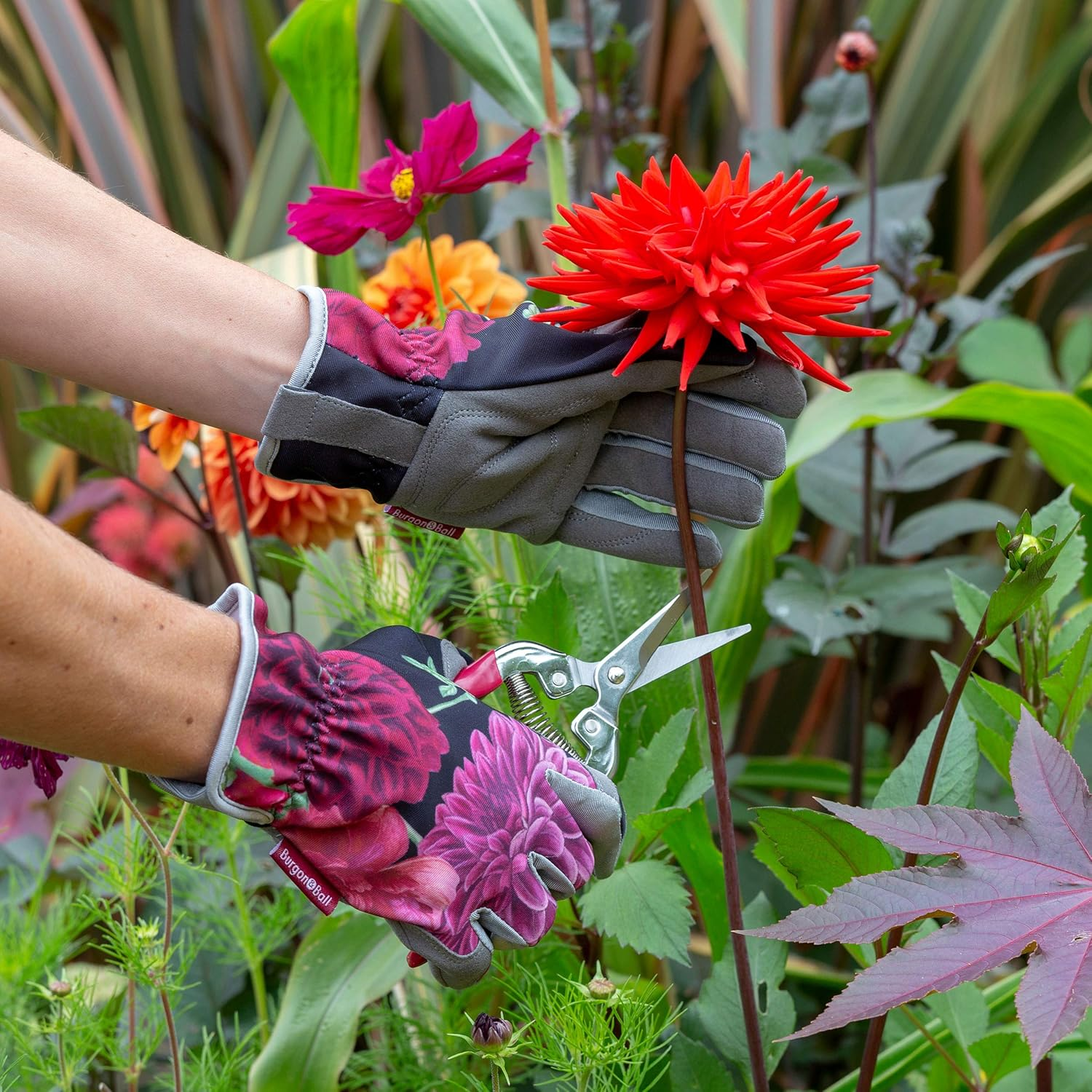 Burgon & Ball British Bloom Gloves, Size 7.5-8 image number 1