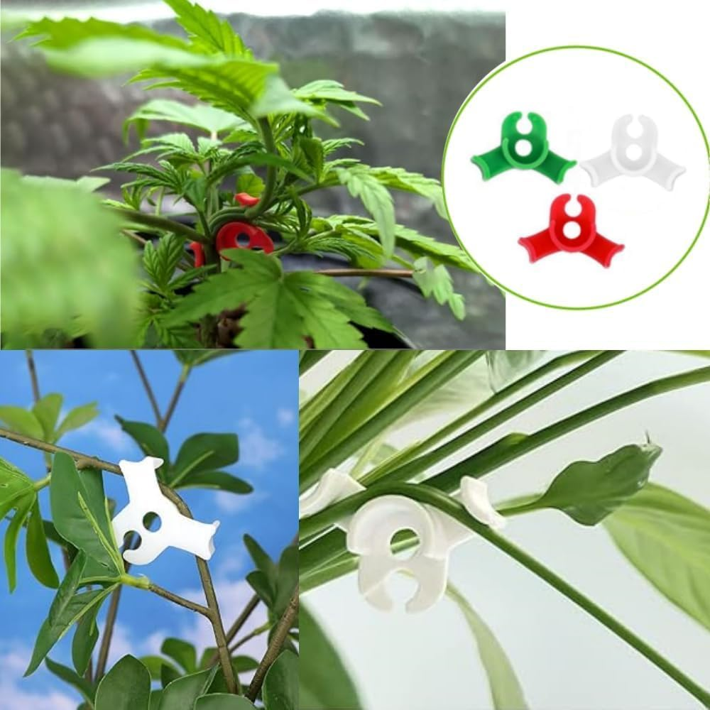 60Pcs Plant Training Clips,Wady Low-Stress Plant Benders for Gentle Training, Soft Bendable Clips for Healthy Growth, Gardening Training Tools for Indoor/Outdoor Plants (Mixed) - Mixed image number 6