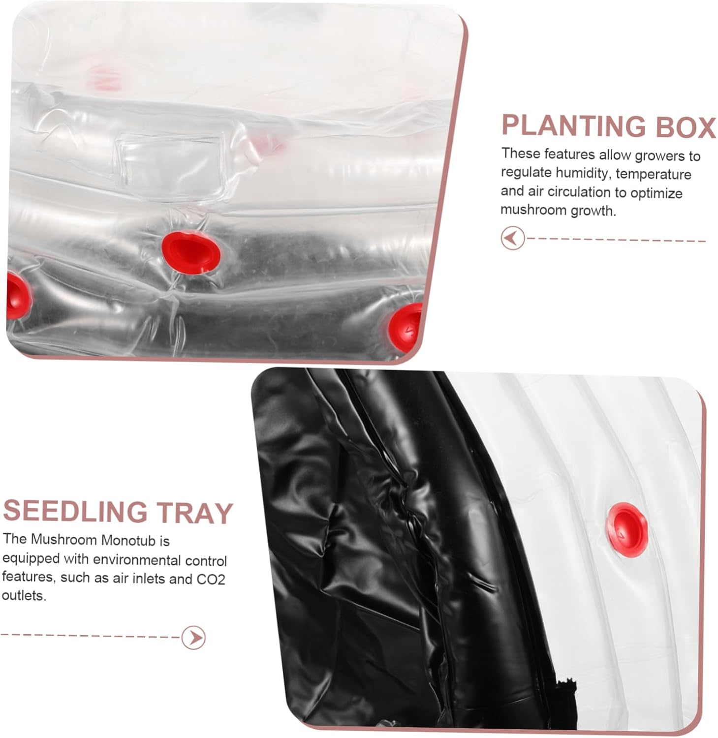 CIMAXIC Inflatable Planting Box for Mushroom Growing Reusable Ventilation for Indoor Gardening and Mushroom Cultivation image number 3