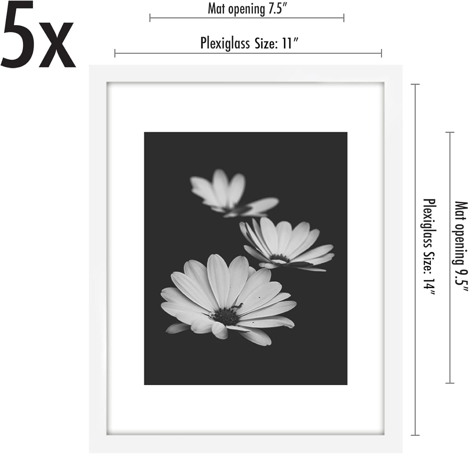 Americanflat 11X14 Picture Frame with Polished Plexiglass - Set of 5 - Use as 8X10 Frame with Mat or 11X14 Frame without Mat - Galleria Collection - Gallery Wall Frame Set for Wall Display - White image number 2