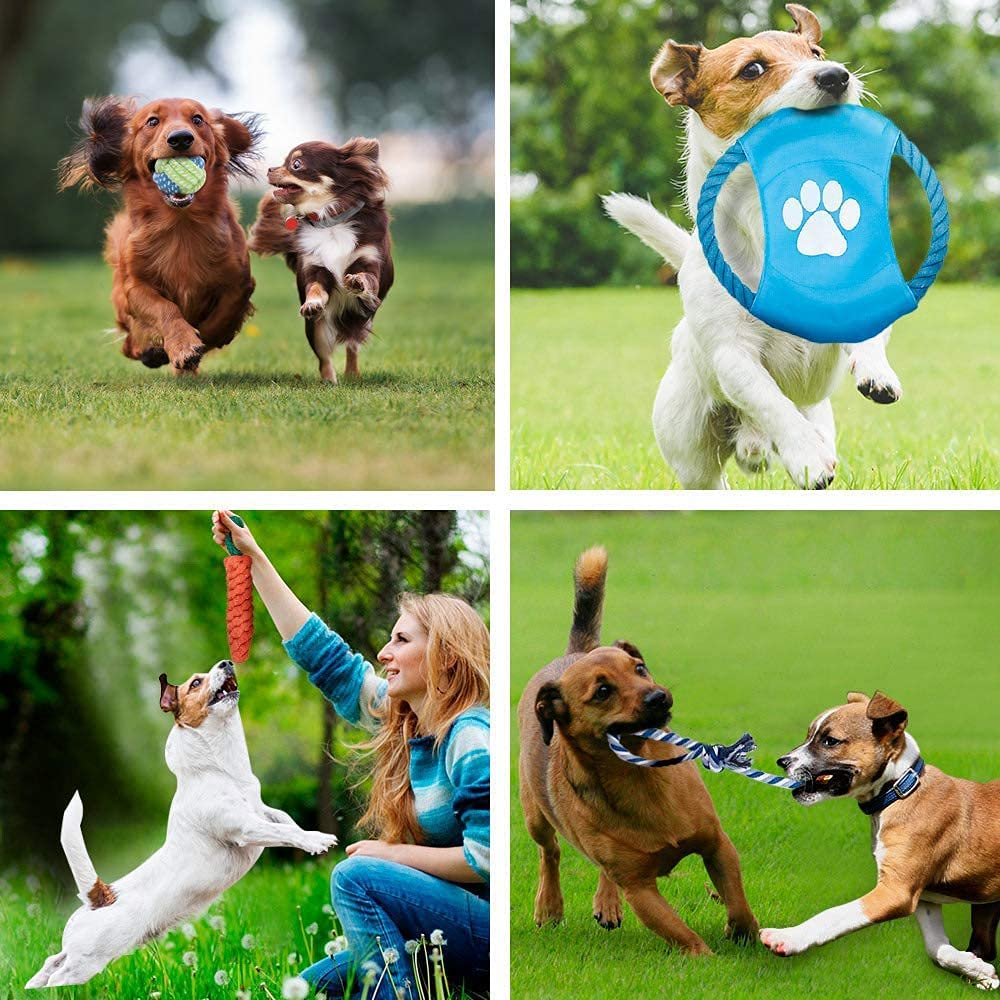 Dog Rope Toys 10 Pack, Pet Dog Chew Toys for Aggressive Chewers, Puppy Teething Chew Toys Interactive Dog Rope Toys Tug Toy for Small & Large Dogs,Dog Plush Toys for Puppies Breed Teething Training image number 3