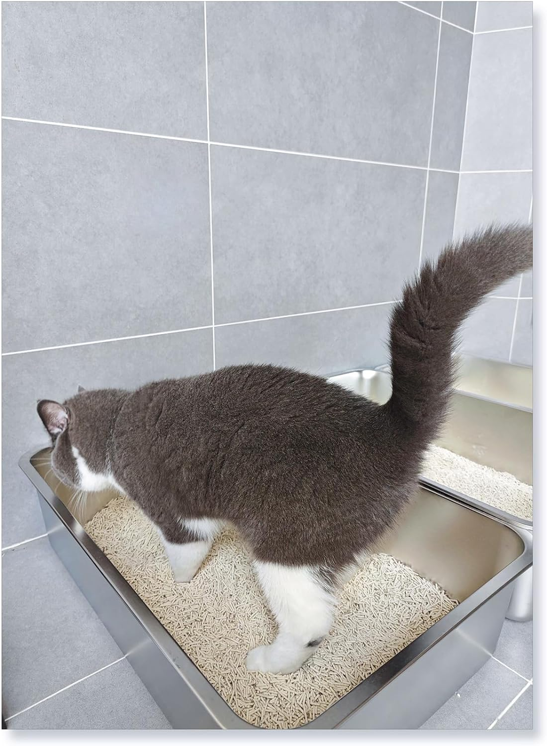 IKITCHEN Stainless Steel Cat Litter Box, Large Metal Litter Pan for Cats, Kitty Litter Box Never Absorbs Odors, Low Side Entry Non Stick, Easy Clean 17.5 X 13.5 X 4 Inches image number 1