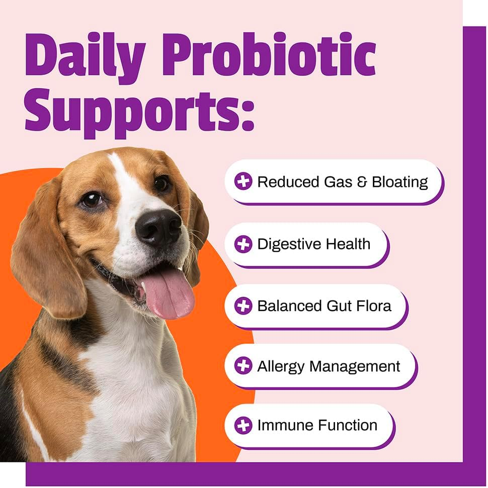 Pet Naturals Daily Probiotic for Dogs, 120M Cfus - Pre and Probiotics for Dogs Digestive Health, Gut Health, Immune Support, Diarrhea, Allergies and Itching - 60 Chews, Duck Flavor image number 5