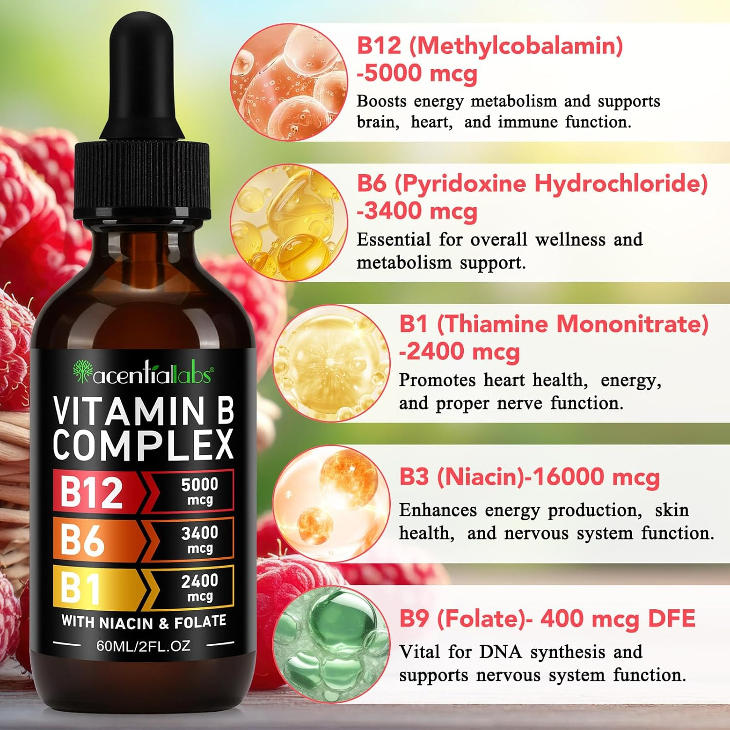 Vitamin B Complex Liquid Drops 60Ml | B12 5000 Mcg, B6 3400 Mcg, B1 2400 Mcg | Plant-Based B-Complex with Niacin & Folic Acid | Fast-Absorbing Sublingual Drops | Natural Raspberry Flavour image number 2