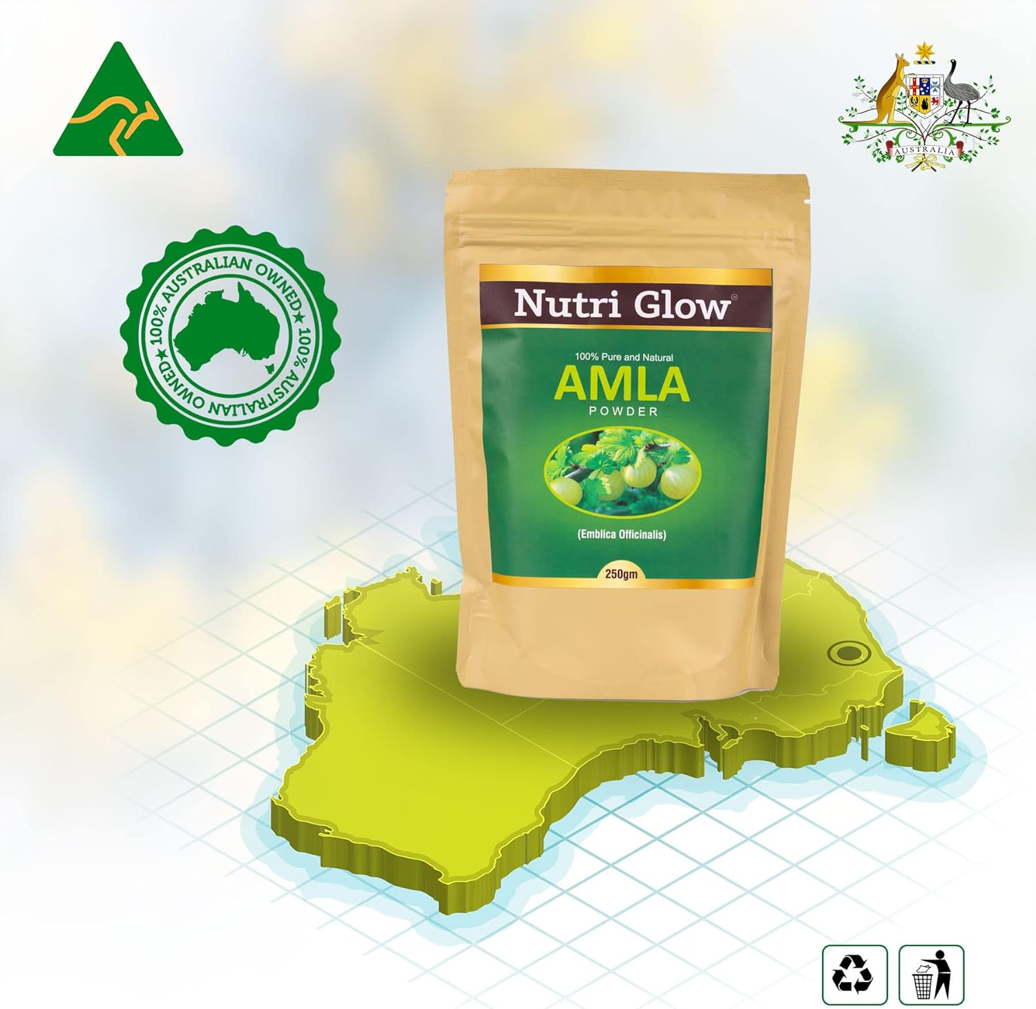 Nutri Glow | Amla Fruit Powder | 8.81 Oz (250 G) | Amalaki | Phyllanthus Emblica | Indian Gooseberry Powder | for Cooking, Smoothies, Latte, Skin & Hair Care | Resealable Air Tight Pouch image number 1