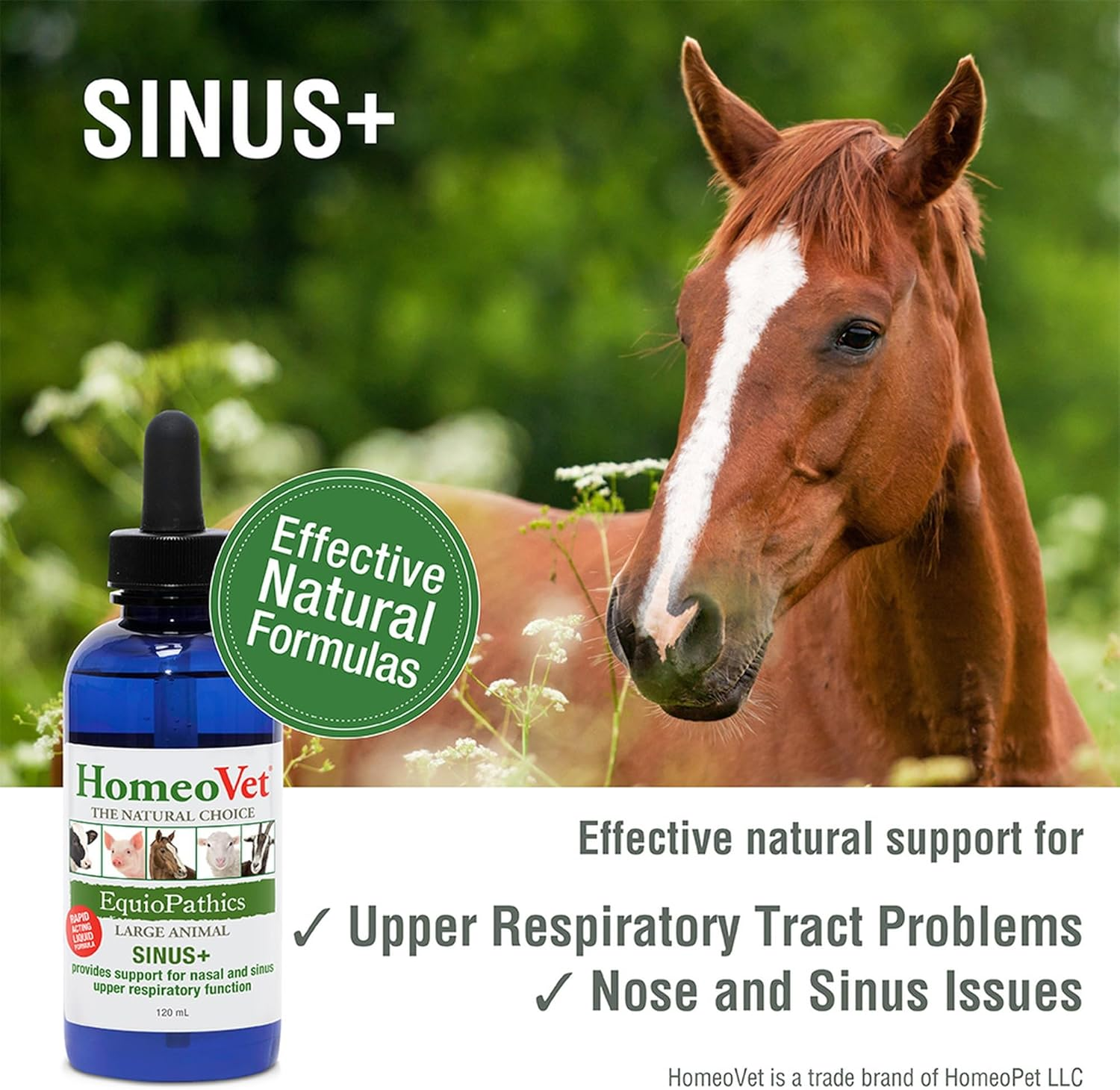 Homeovet Equine Sinus + 120 Ml - Horse Upper Respiratory Tract Relief Support for Nasal and Sinus Tract Health, Use for a Runny Nose, Watery Eyes, Sneezing and Congestion. Natural Horse Nasal Relief image number 3