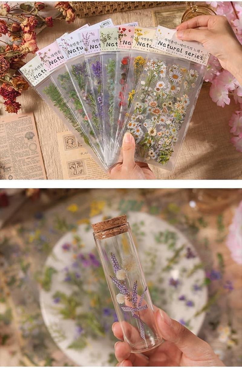 720Pcs /8Pack Supplies Stickers Vintage PET Transparent Decorative，Pretty Retro Floral Stickers Set for Scrapbooking,Journal,Arts, DIY Craft, Album, Phone Case