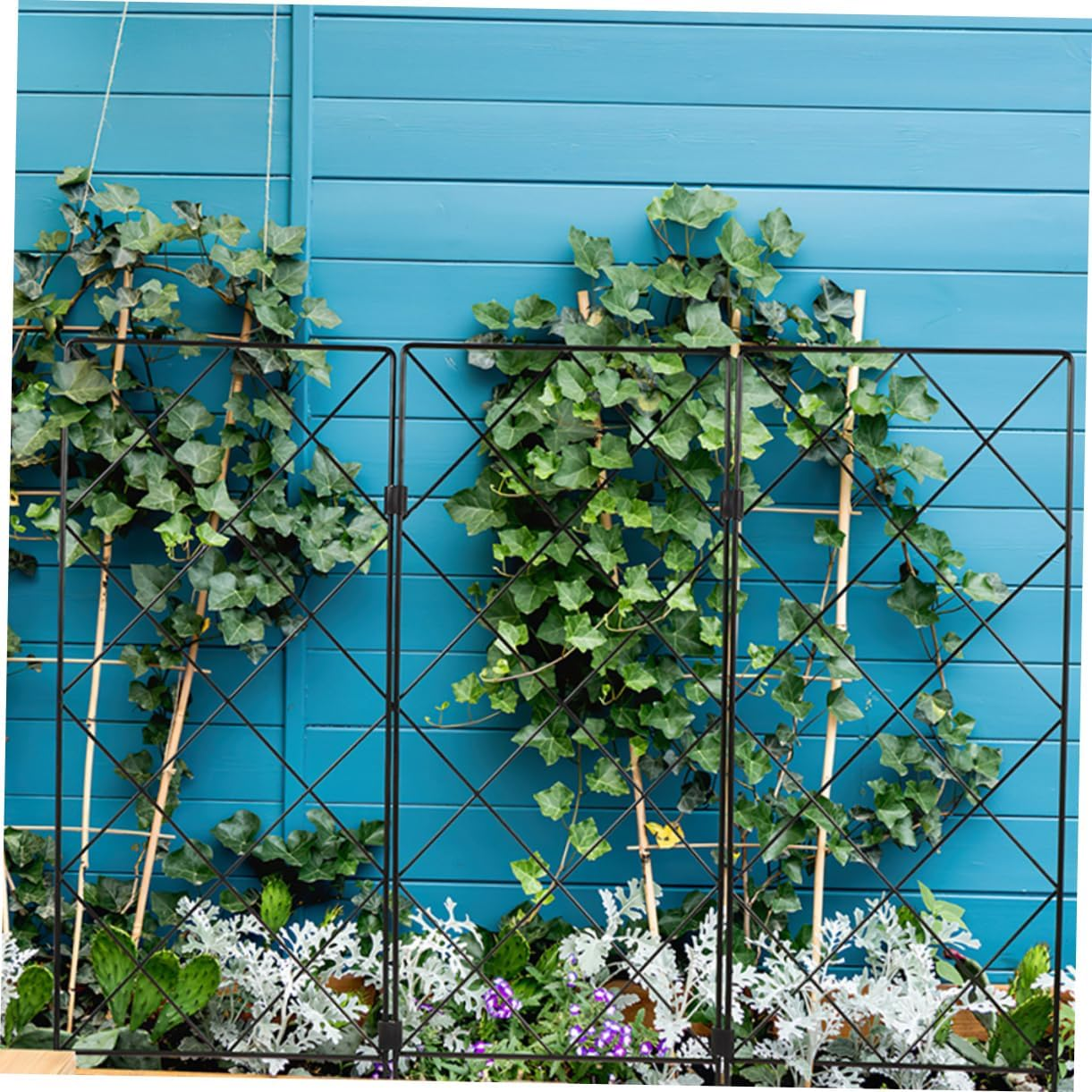 Gogogmee 2Pcs Gardening Support Bracket Iron Garden Trellis for Climbing Plants Tomatoes Cages for Garden Supplies Plant Trellis for Herb and Pot image number 1