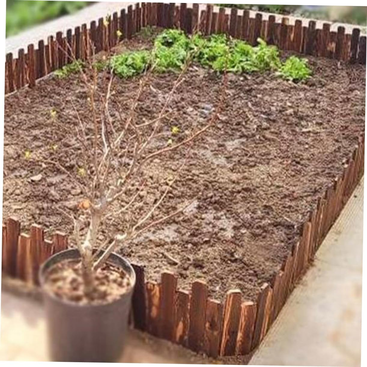 Yardenfun Garden Fence Edging Wooden Short Picket Border Bendable Easy to Install Inserted into Ground Lawn Flowerbed Decorative Landscape Plant Protection Coffee image number 3