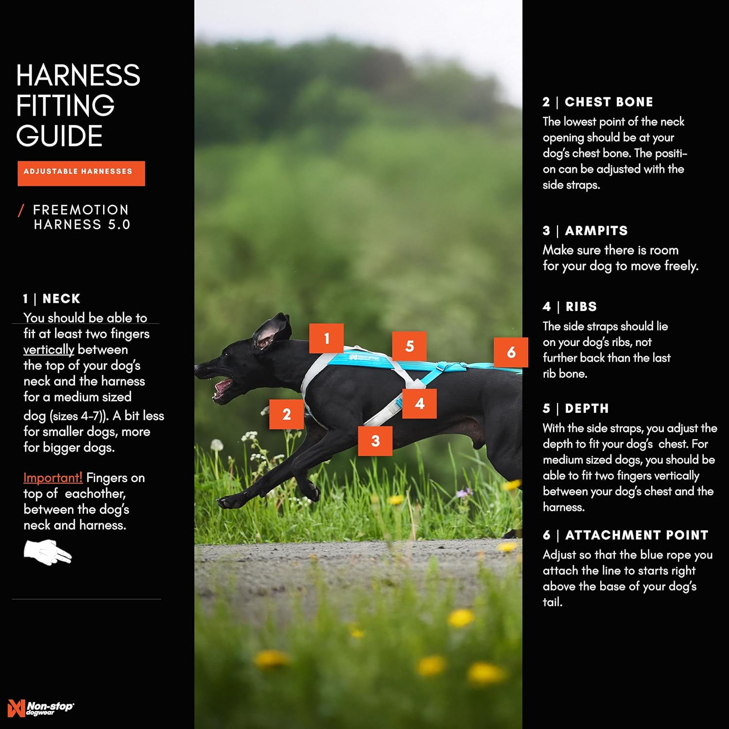 Non-Stop Dogwear Freemotion Harness 5.0 Dog Pulling Harness for Sports like Running, Biking and Skiing with Dogs, Professional Adjustable Dog Harness, Orange/Black, Size 4 image number 5