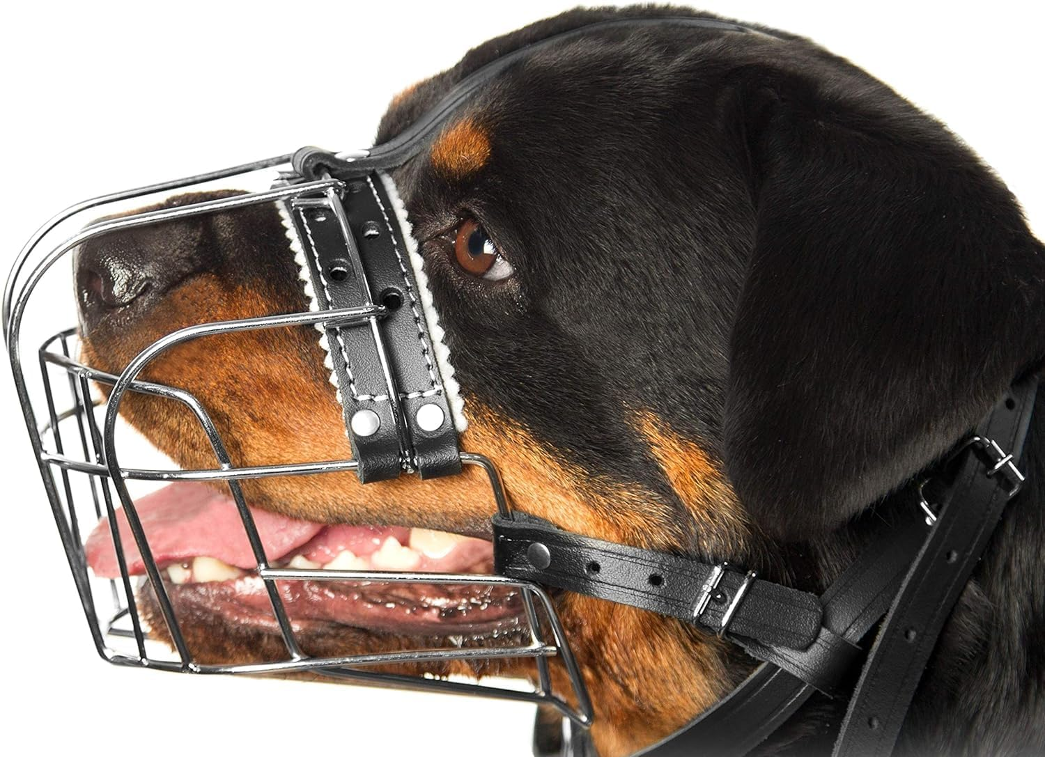 Petristor Metal Muzzles for Dog Rottweiler № 2 Wire Basket Adjustable Leather Straps Leather Adjustable the Circumference Is 10.2-14.5 in Length 2.7 3.5
