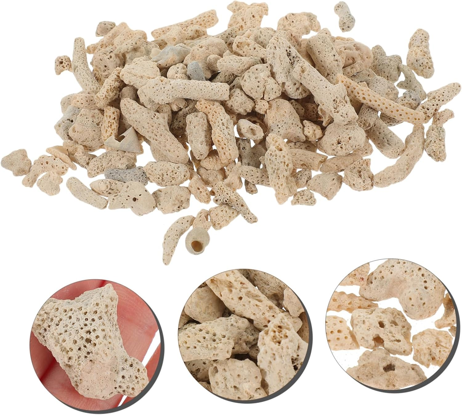 ERINGOGO 1 Crushed Coral Material Pond Sand Fish Water Cleaner Aquarium Crushed Aquarium Coral Feeder Aquarium Aquarium Test Kit Canister UV Torch Sponge Aquariums