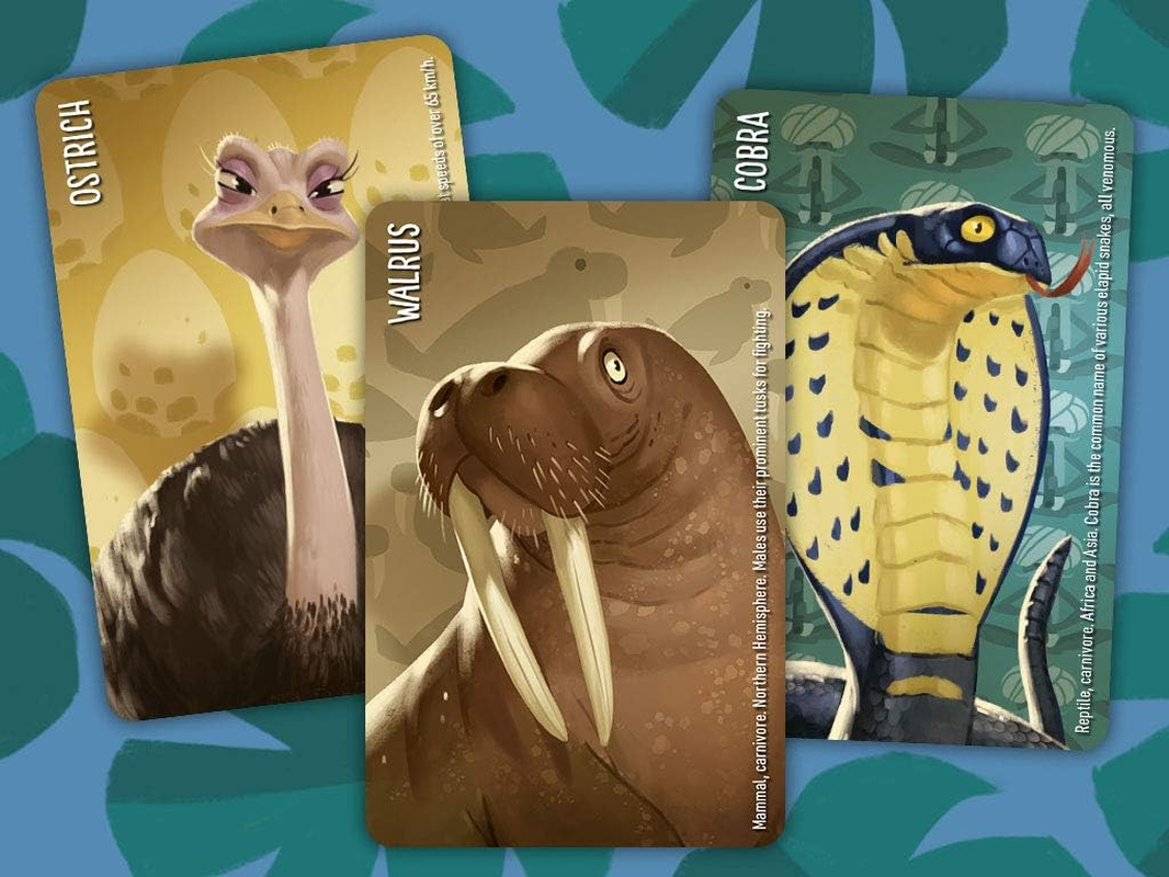 Similo - Wild Animals - Cooperative Card Game for 2-8 Players, Guess the Secret Animal image number 4