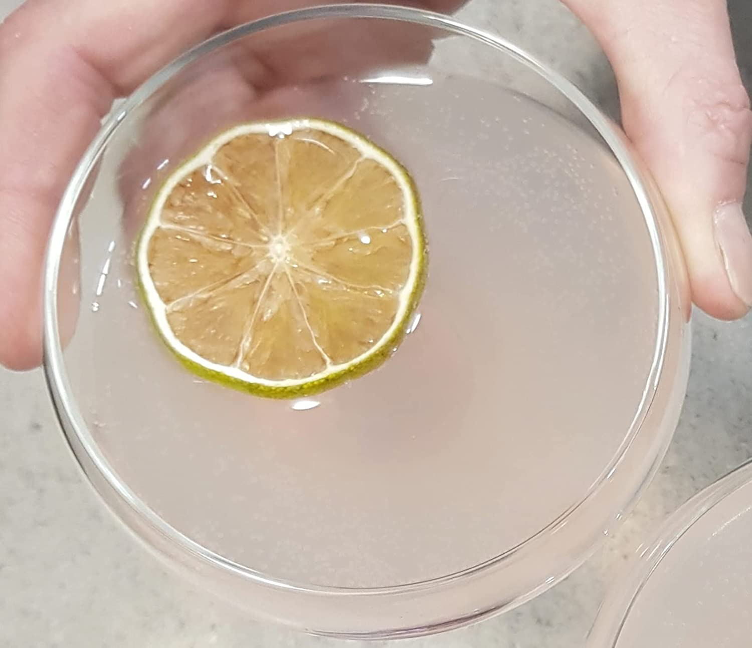 ADD SOME FRUIT - 100% DEHYDRATED LIME - 40G Jar image number 2