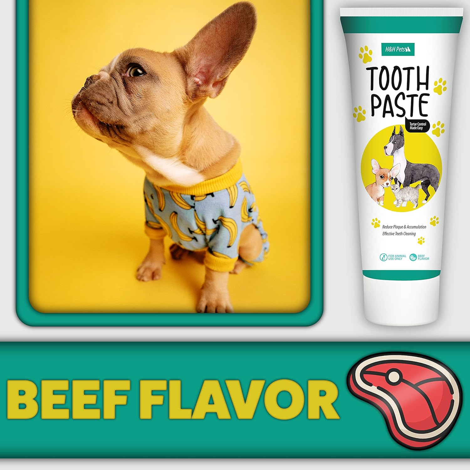 H&H Pets Dog Finger Toothbrush Best Professional Cat Dog Finger Toothbrush, Great Dental Hygiene, Silicone Option, Value Pack of 4 or 8 (Size Small (Soft Silicon Bristles), 4 Count + Toothpaste) image number 3