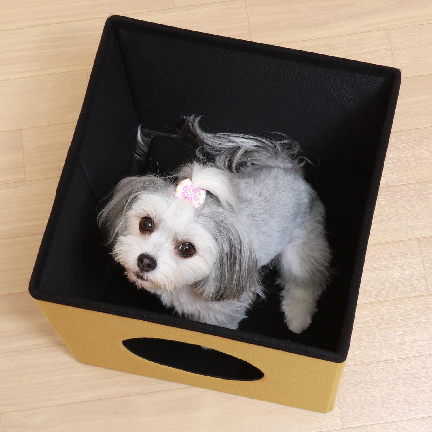 Fuji Boeki 53711 Pet House, Cat House, 2 Tiers, Width 14.8 X Depth 14.8 X Height 29.1 Inches (37.5 X 37.5 X 74 Cm), Red, Yellow, Bi-Color, Connected Type, Foldable, Cube image number 5