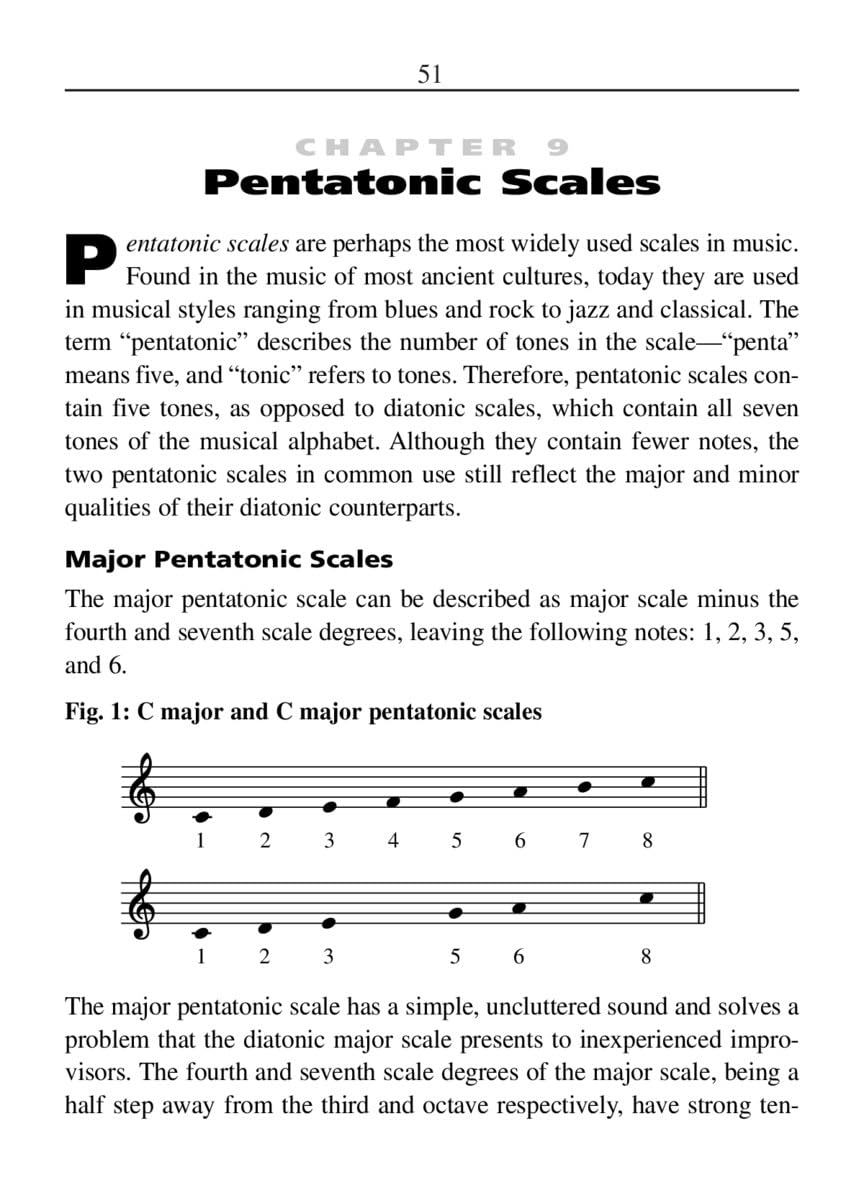 Hal Leonard Pocket Music Theory Book: a Comprehensive and Convenient Source for All Musicians image number 4