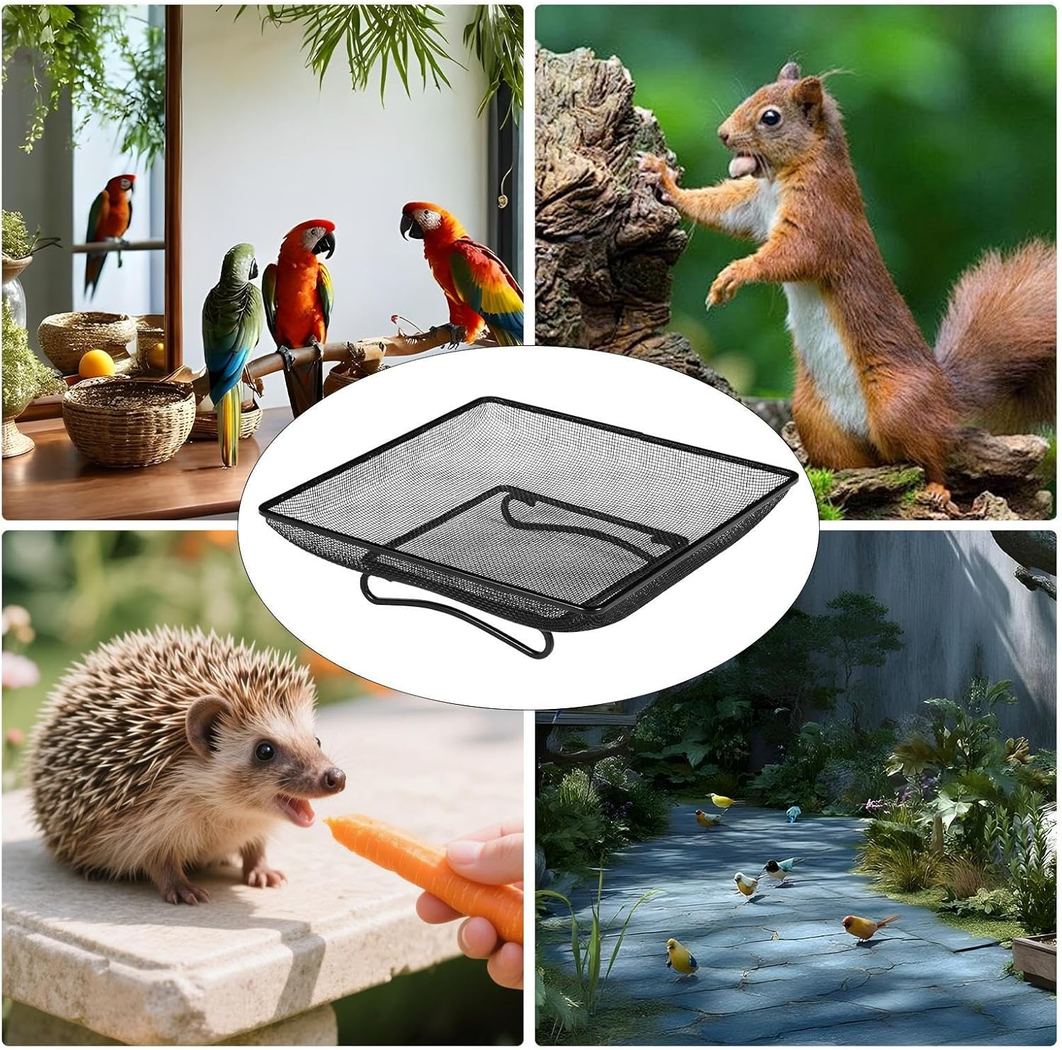 Bird Feeders for Outdoors,Ground Humming Bird Feeder Tray | Metal Mesh Bowl Feeding Supplies Station, Pet Supplies for Bunny Crow Blue Jay Squirrel Garden Decor Outside image number 4