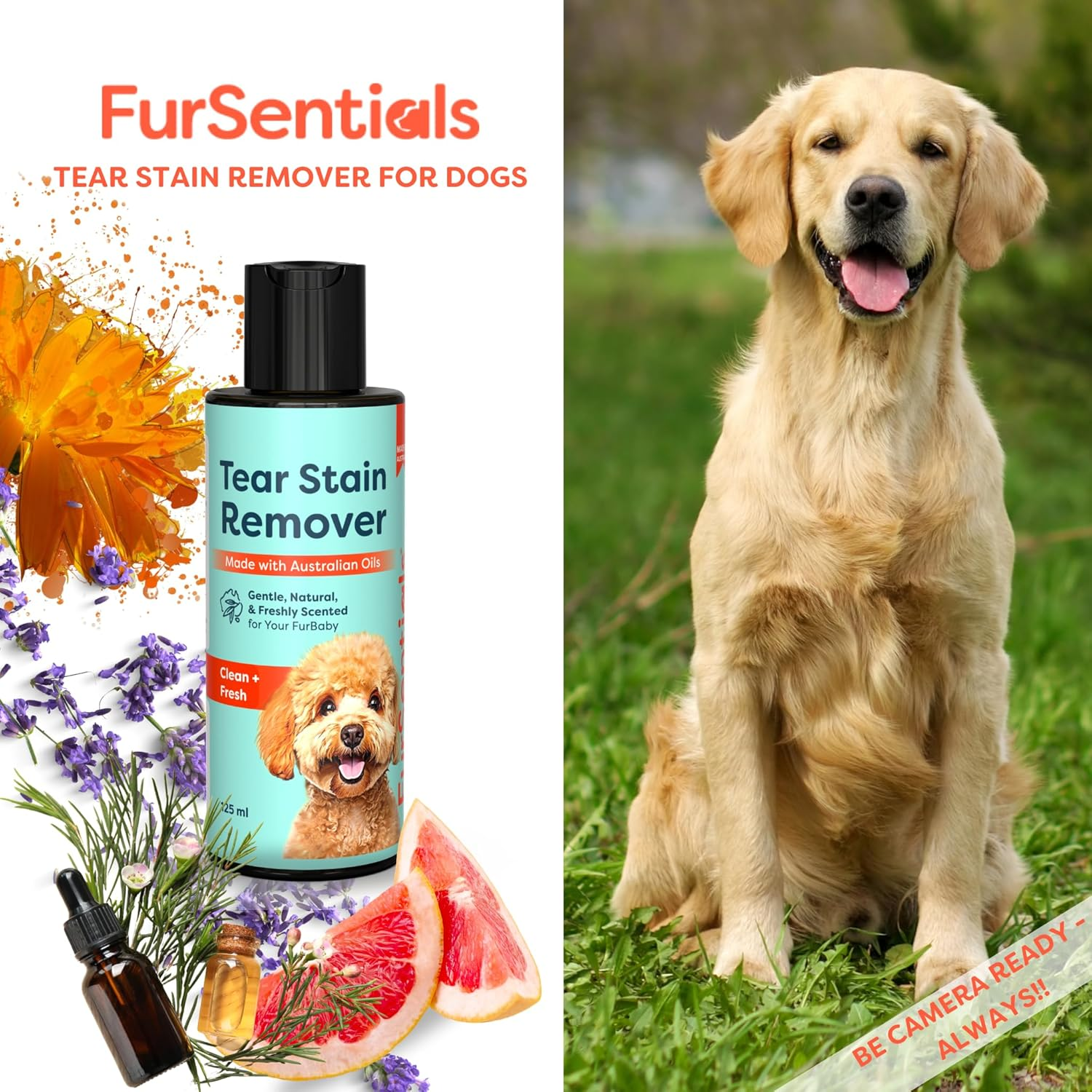 Tear Stain Remover for Dogs | Grime Stain Remover for Dogs | Made with Australian Oils | 125 Ml of Gentle, Freshly Scented All Natural Cleaner | by Fursentials image number 3