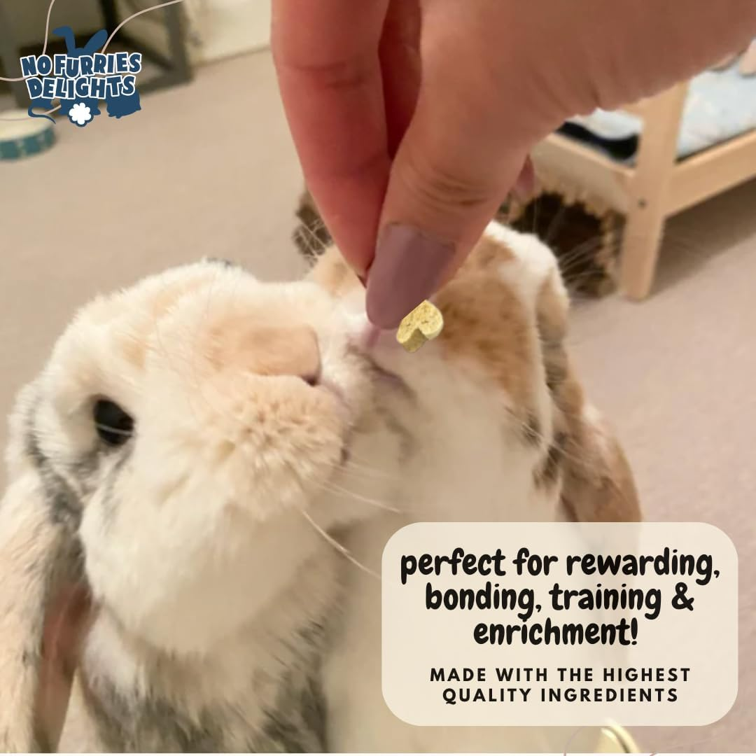 Treats, 100% All Natural Mini Bites for Rabbit Hamster Guinea Pig Chinchilla Pet Rat Mice Gerbil Bird, Healthy Enrichment Bonding Rewarding Training (Nature'S Variety Pack 50G) image number 5
