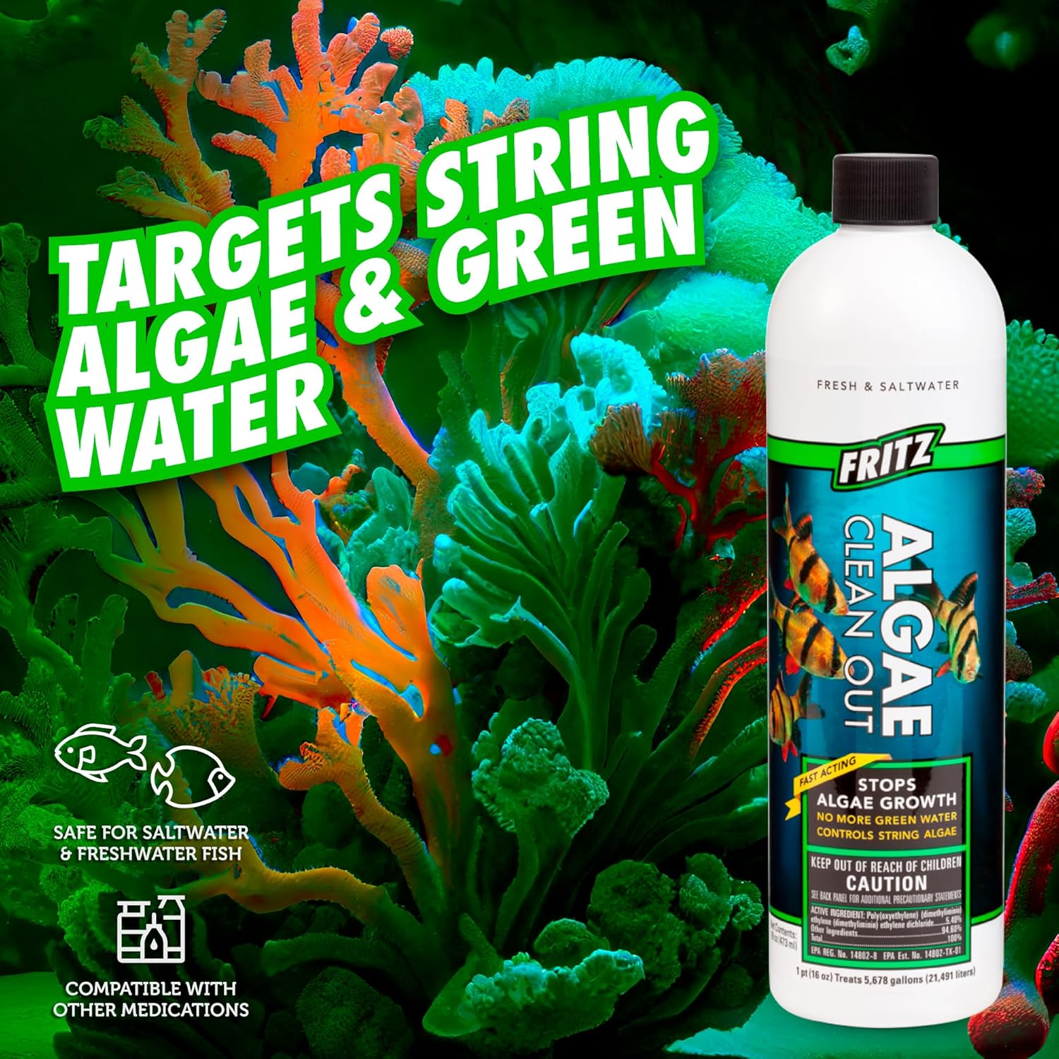 Fritz Aquatics 48016 Fritz Algae Clean Out Algaecide for Fresh and Salt Water Aquariums, 16-Ounce image number 6