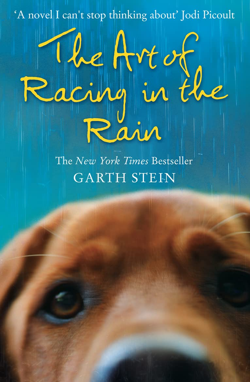 The Art of Racing in the Rain image number 3