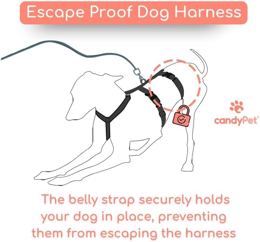 3 Point No Pull Harness, Ideal for Greyhound, Italian Greyhound, Whippet, Greyhound, Podenco - Safe, Breathable and Durable Walking, Training and Running - Anthracite, M image number 3