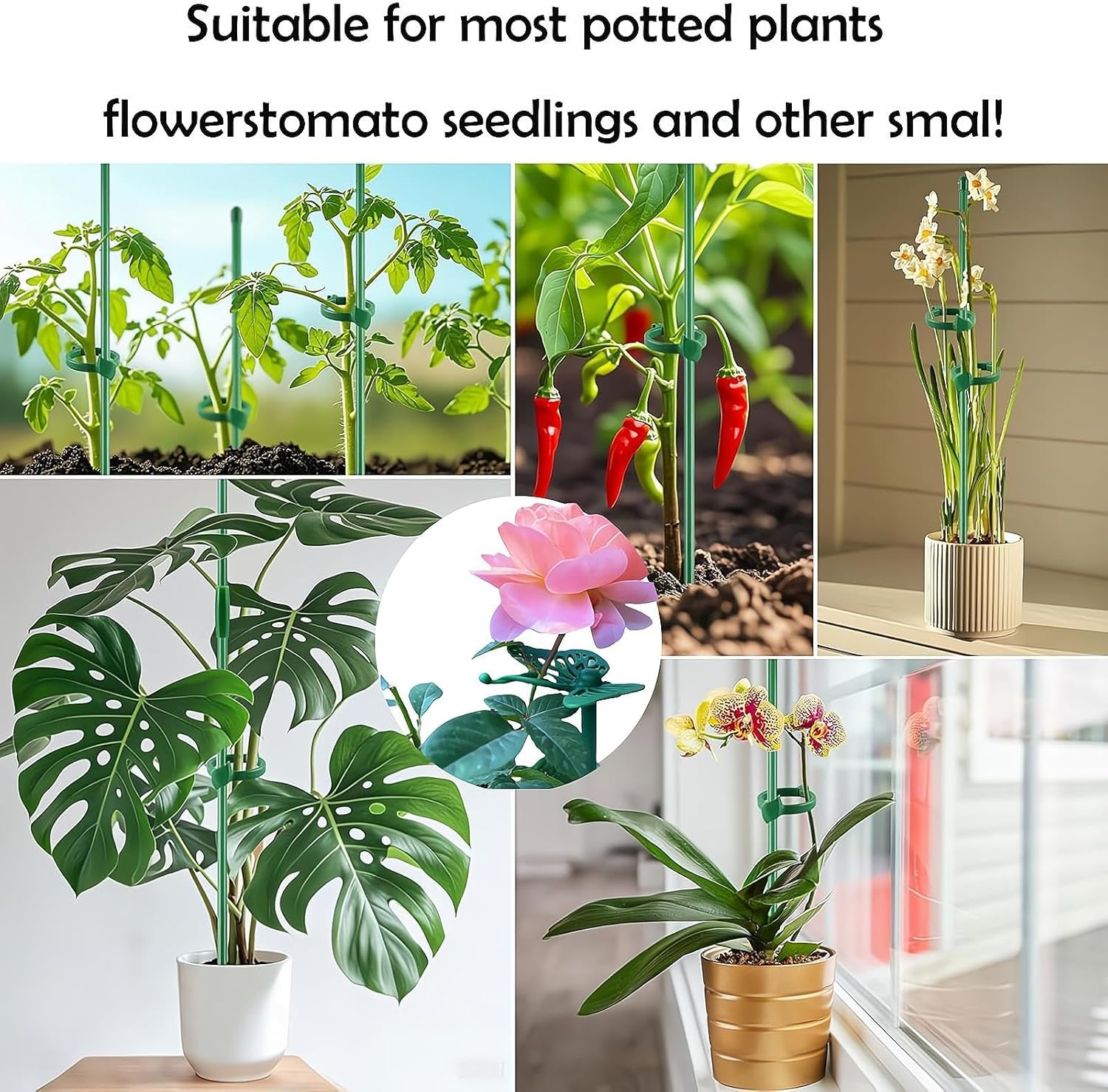 20Pcs Plant Support Stakes for Garden,12-Inch Adjustable Rings with 20 Butterfly Clips, 20 Snap Fasteners& 10 Connecting Tubes - Sturdy Stakes for Vegetables,Flowers,Potted Plants,Tomatoes,Roses image number 3