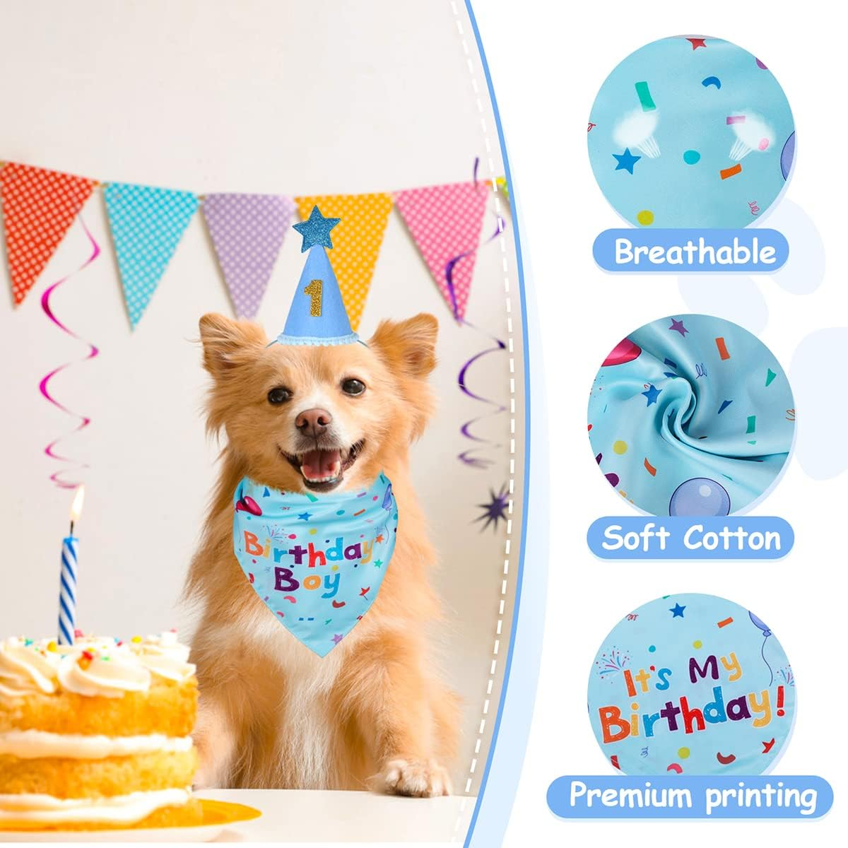 Dog Birthday Bandana & Hat Set, Blue, Medium, Dog Accessories - Pink image number 3