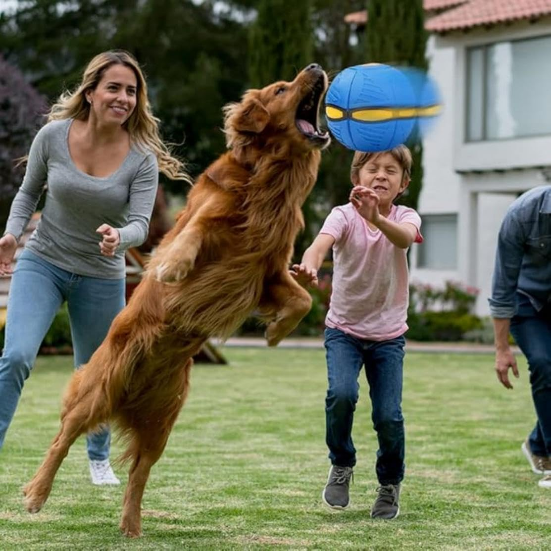 Flying Saucer Ball for Dogs - Creative Decompression Magic Stomp Interactive Pet Toy for Small Medium Dogs Outdoor image number 2