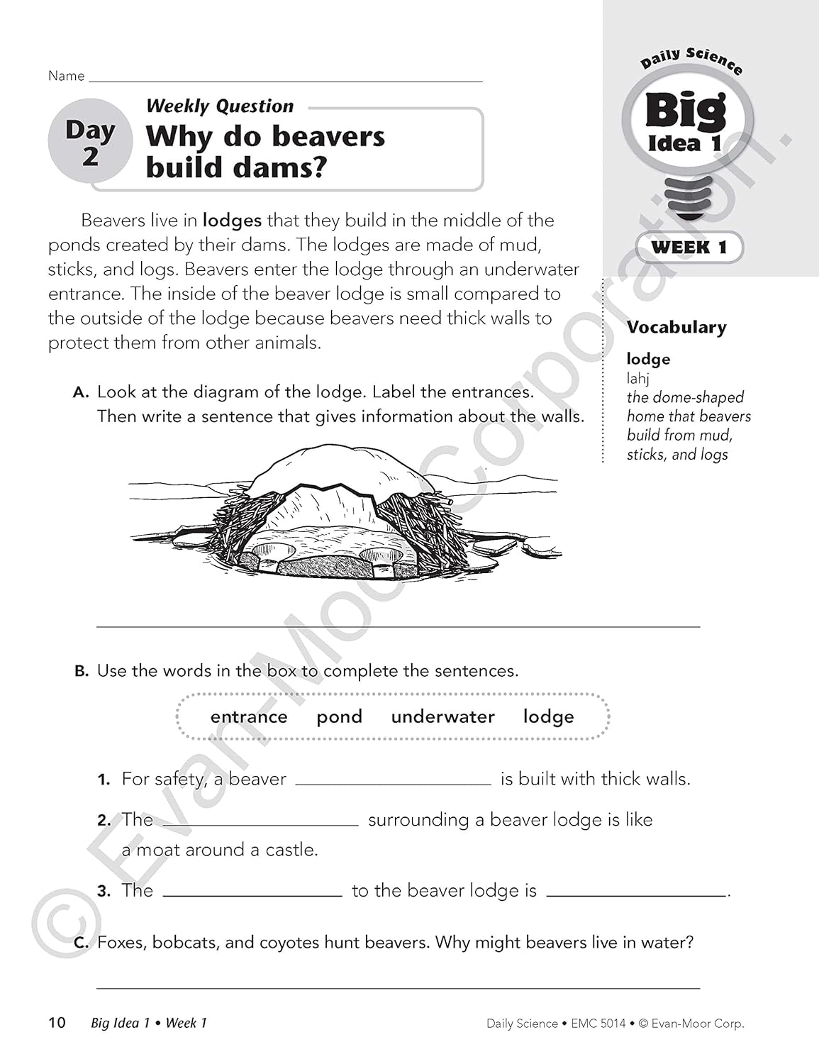 Evan-Moor Daily Science, Grade 4 Homeschooling & Classroom Resource Workbook, Printable Worksheets, Teaching Edition, Earth, Life, and Physical Science, Vocabulary, Test Prep, Hands-On Projects image number 5