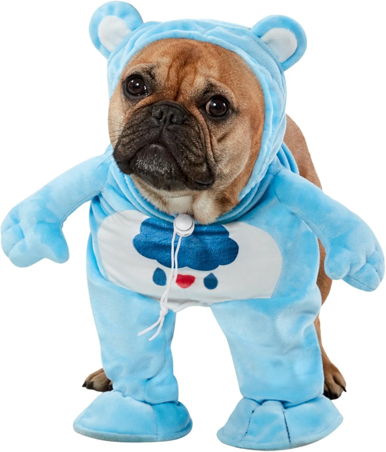Care Bears: Grumpy Bear Pet Costume for Dogs or Cats by Rubies, Medium image number 2