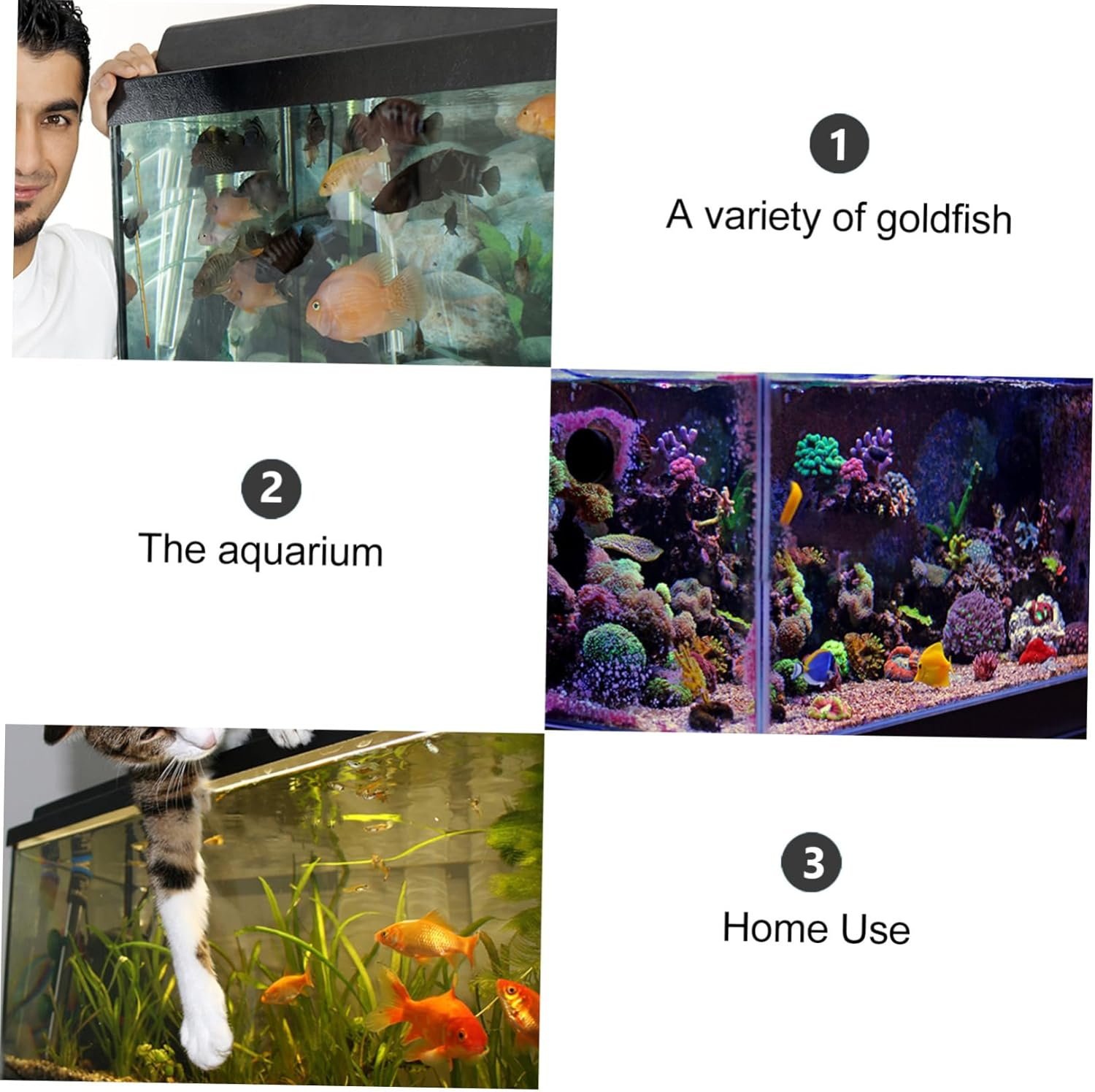 Gatuida Cichlid Fish Hatchery Incubator Tank 50Mm Egg Tumbler Mouth-Brooding Fish Breeding Equipment for Aquarium Aquatic Pets (2Pcs Random Color image number 4