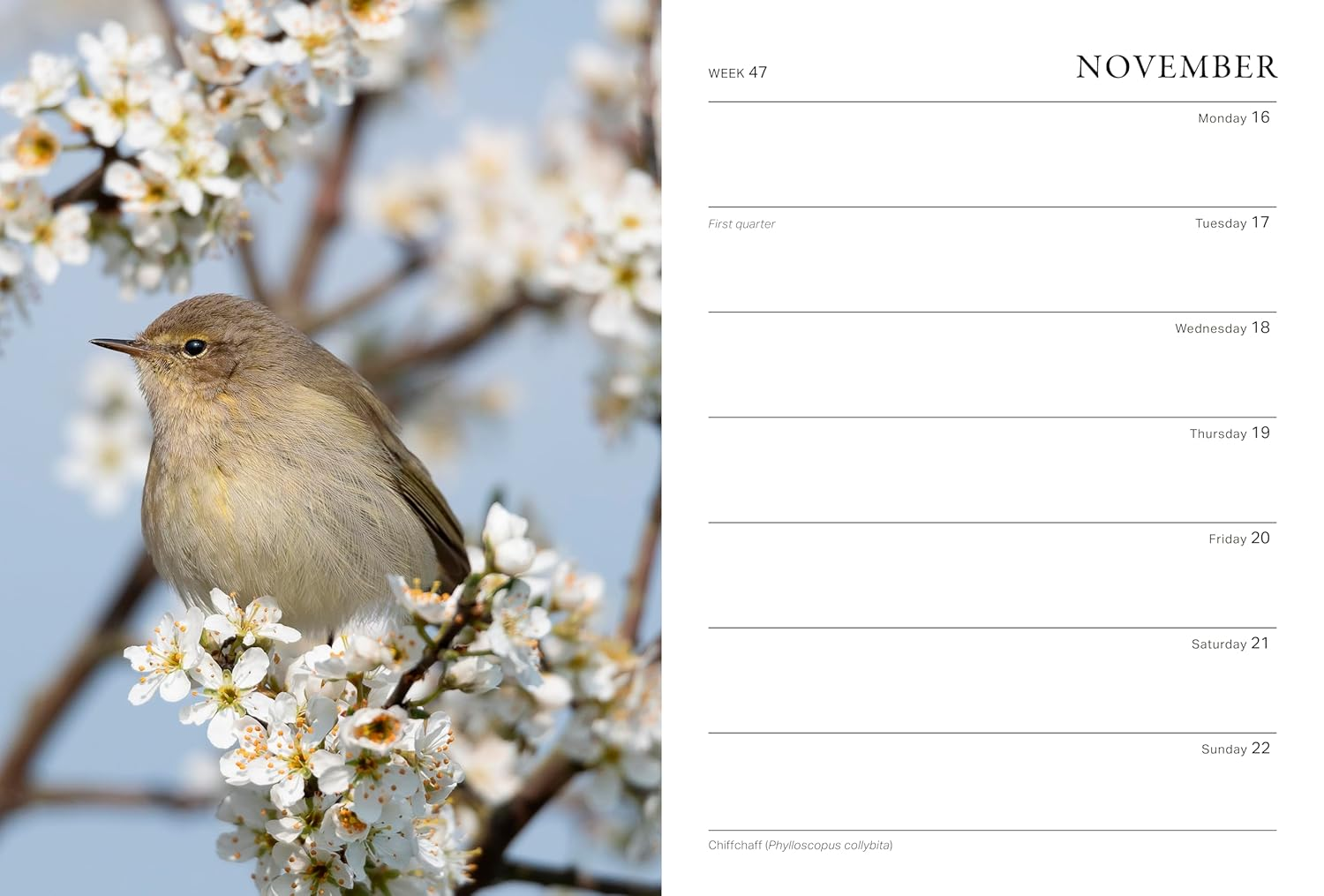 RHS Wild in the Garden Diary 2026 image number 5